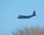 DSC_3523.jpg