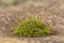 15A_8920_webshot.jpg