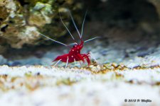 D71_2821.jpg