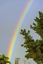 Rainbow.jpg