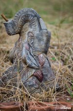 grey-elephant-1.jpg