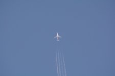 DSC_1478-2.jpg