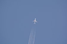 DSC_1479-2.jpg