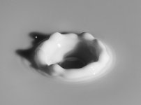1MG_3895.jpg