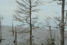 DSC_3036.jpg