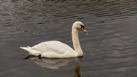 DSC_0814.jpg