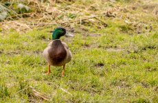 DSC_0840.jpg