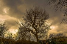 DSC_0766-Edit.jpg