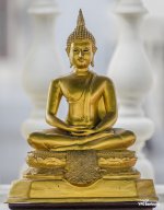 buddha-small-ype-1.jpg