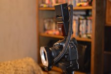 DSC_1150.jpg