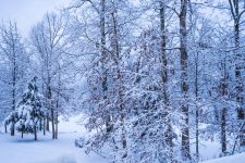 _DSC0676.jpg