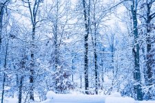 _DSC0681.jpg