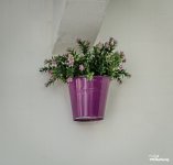 flowers-on-the-wall-2.jpg