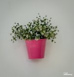 flowers-on-the-wall-5.jpg