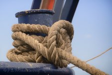 15A_9121_webshot.jpg