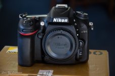 Nikon D7100 Out of box-2844.jpg