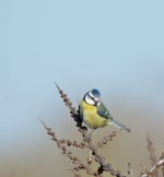 DSC_3649.jpg