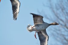 DSC_3615.jpg