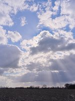 DSC_3384.jpg