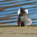 DSC_3572.jpg