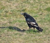 DSC_3642.jpg