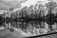 DSC_0779-Edit.jpg