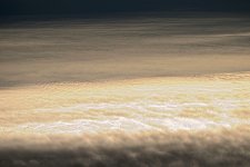 DSC_8770.jpg