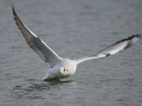 DSC_8733.jpg