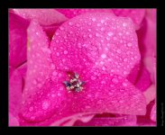 DSC_3074_Web.jpg