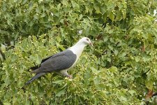 15A_9261_webshot.jpg