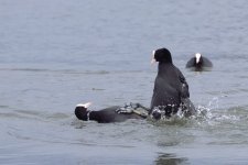 DSC_3746.jpg