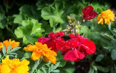 untitled-1-9.jpg