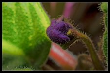 DSC_1927_02.jpg