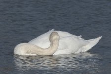 DSC_4310.jpg