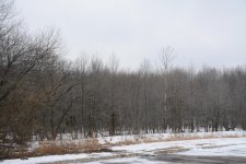 DSC_3390.jpg