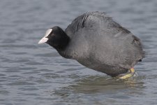 DSC_4013.jpg