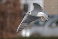 DSC_4049.jpg