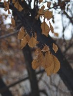 _AAA4547 - Version 2 - 2015-03-01 at 18-31-31.jpg