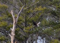 DSC_0655.jpg
