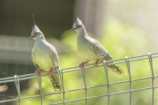 15A_9335_webshot.jpg