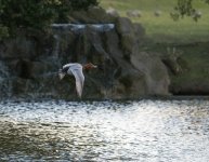 DSC_3956.jpg