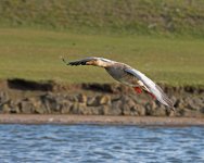 DSC_3944.jpg