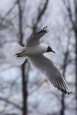 DSC_4424.jpg