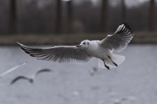 DSC_4421.jpg