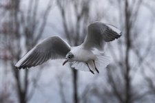 DSC_4408.jpg