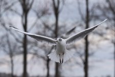DSC_4406.jpg