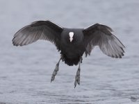 DSC_4386.jpg