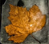 DSC_0915.jpg