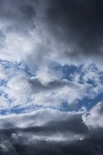 DSC_4328.jpg