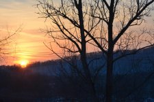 DSC_3517.jpg